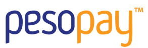 online payment